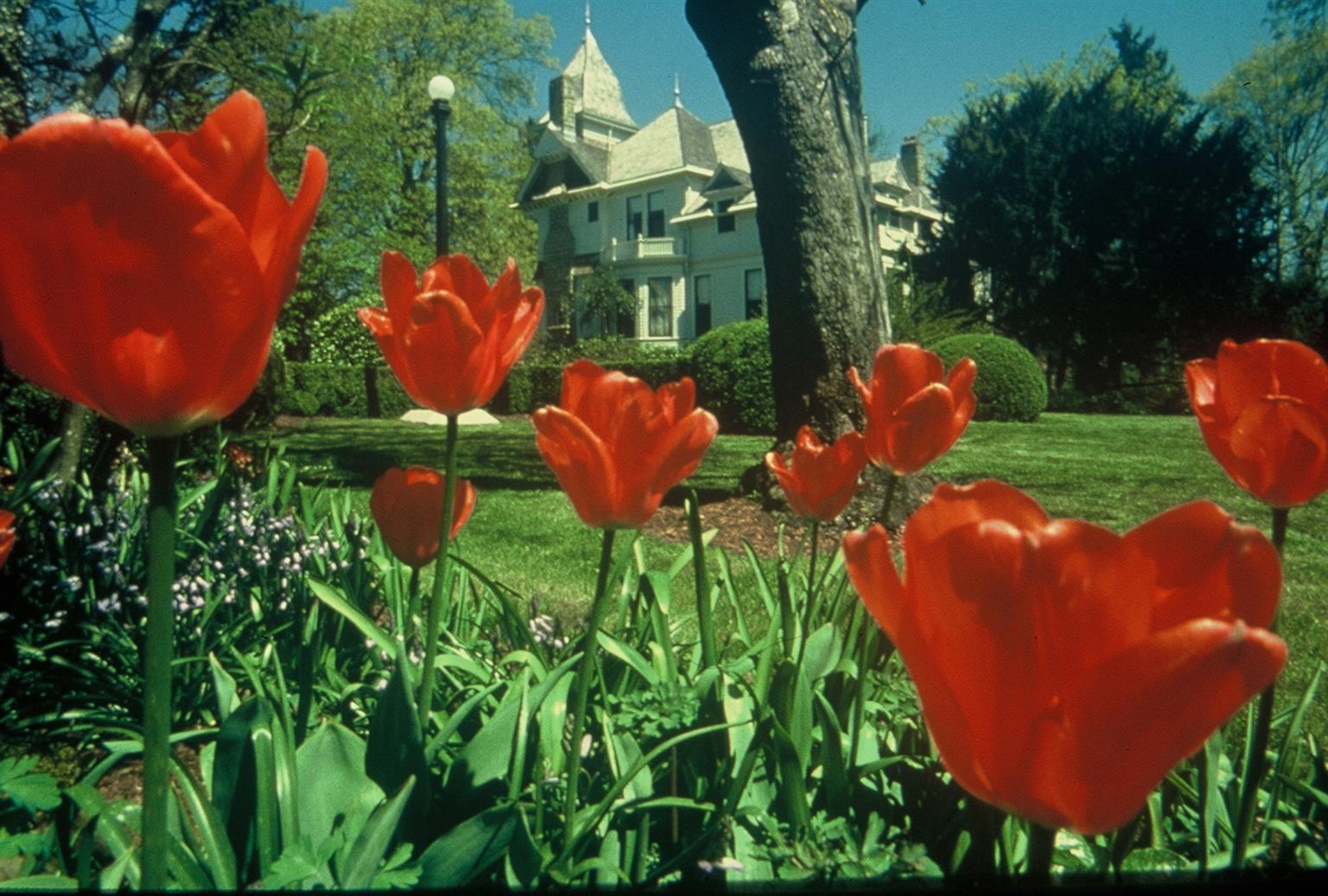 Best Western Plus Mill Creek Inn Salem Fasilitas foto